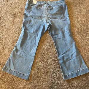Lane Bryant Signature Fit Flare Mid Rise Jean